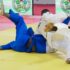 Coupe judo de l’Ambassadeur du Japon : Les Ivoiriens face aux meilleurs de la sous-région